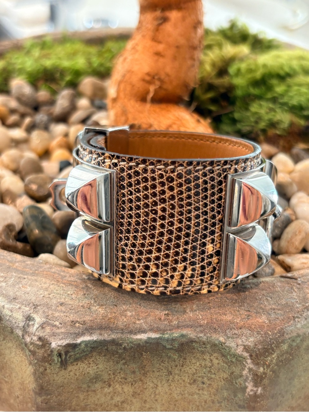 Collier de Chien Lizard bracelet - Picture 6 of 9